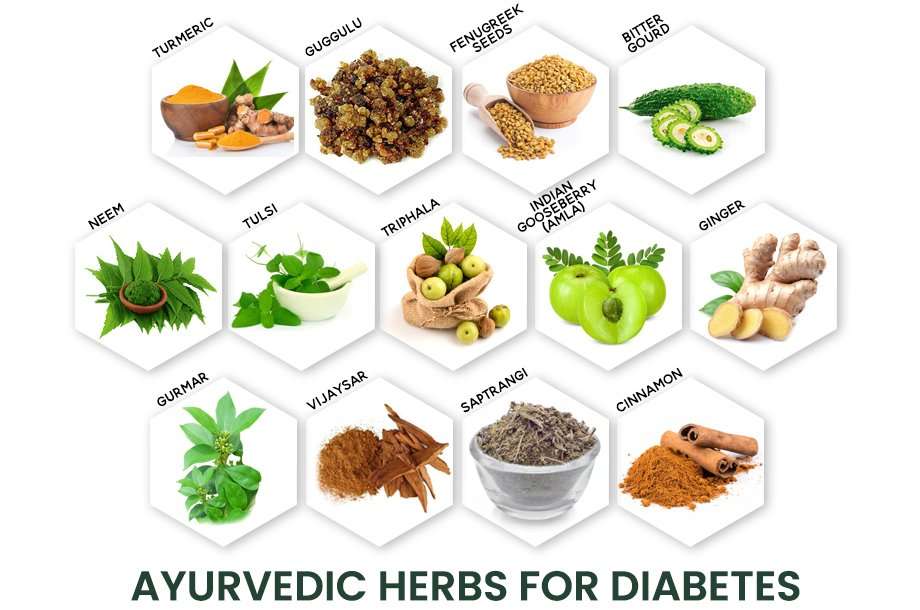 Ayurvedic Herbs for Diabetes