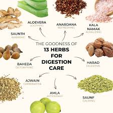 Ayurvedic Digestive Issues| herbs image for digestion