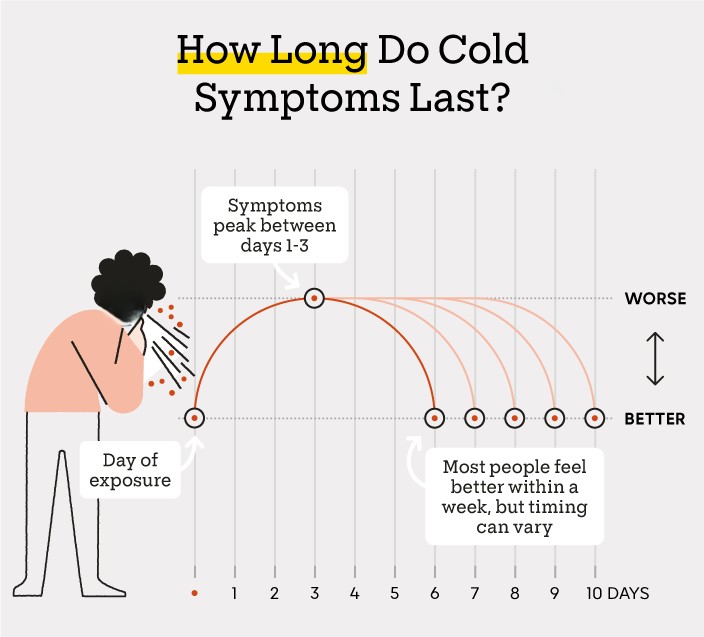 Common Cold in Ayurveda image

