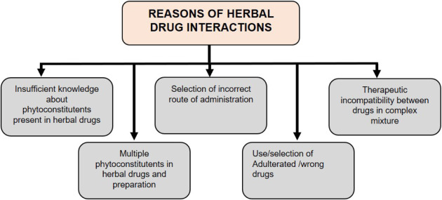 Herb-Drug Interactions | image detail