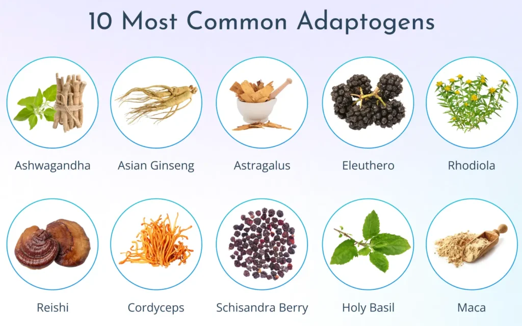 Adaptogens in Ayurveda | herbs in ayurveda