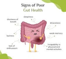 Ayurvedic gut health | image | sign for poor gut health