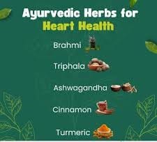 Ayurveda and Heart Health | image