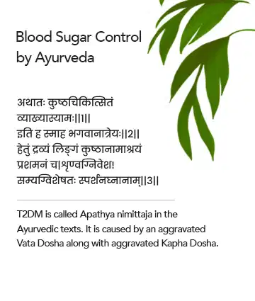 Ayurveda for Diabetes Management | image